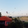 Hot air balloons littering the early morning sky